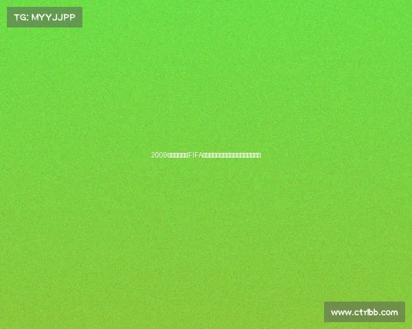 2009年南非世界杯FIFA排名全景解析与强队格局回顾深度研究